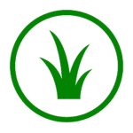 grass blade icon transparent